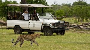 Botswana safari to Moremi
